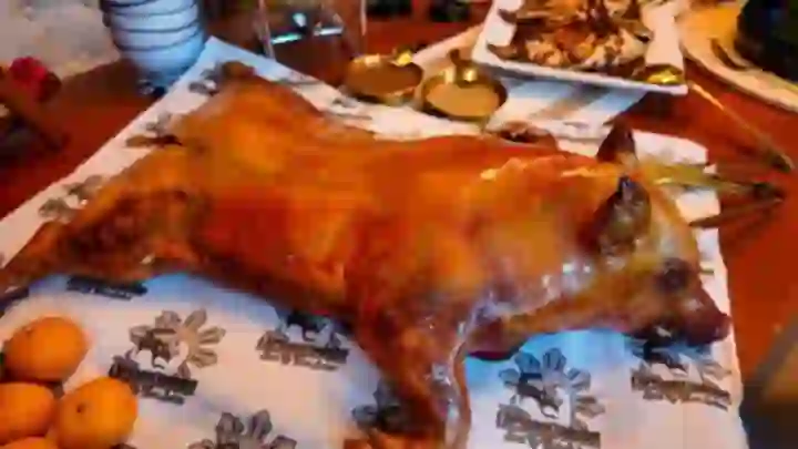 lechon